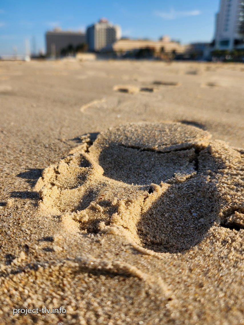 20241202_075837